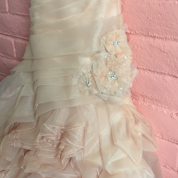 Blush wedding gown - Picture 2 of 5